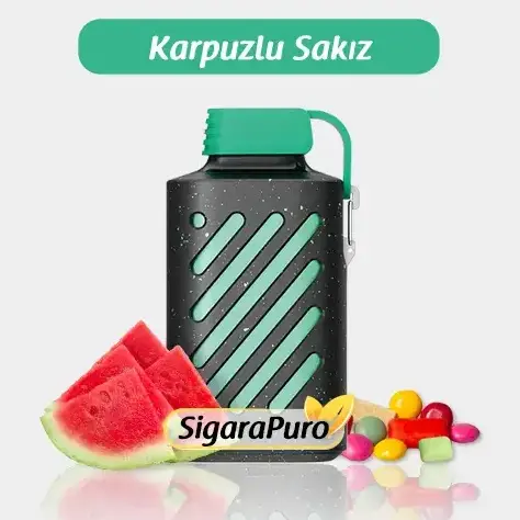 Vozol 10000 Watermelon Bubblegum Puff – Vozol Gear 10000