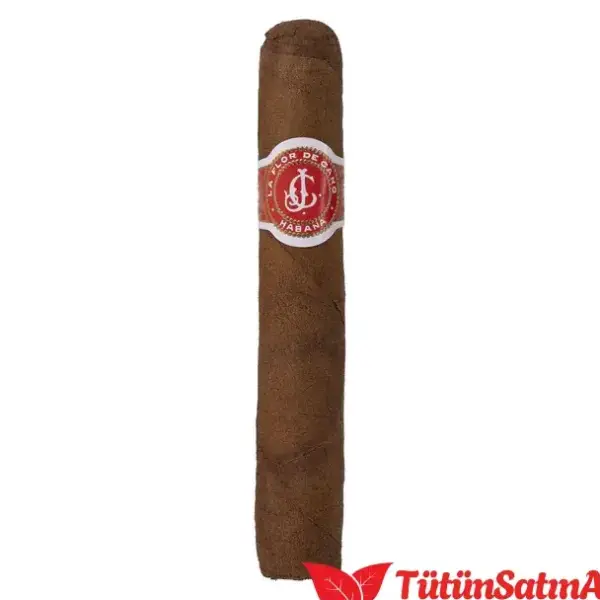 La Flor de Cano Elegidos Puro 2