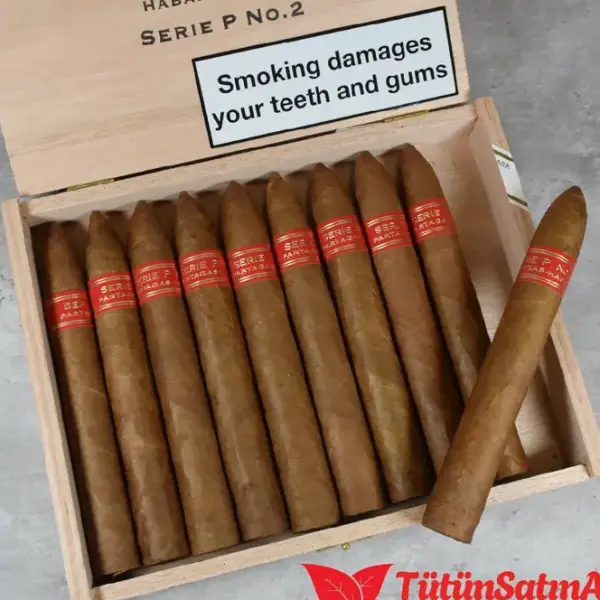 Partagas Serie P No.2