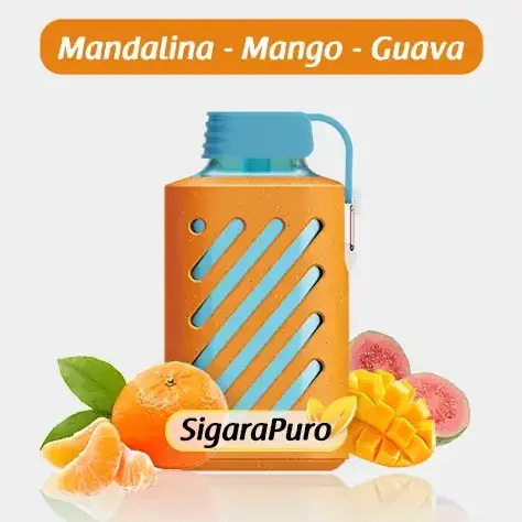 Vozol 10000 Tangerine Mango Guava Puff – Vozol Gear 10000
