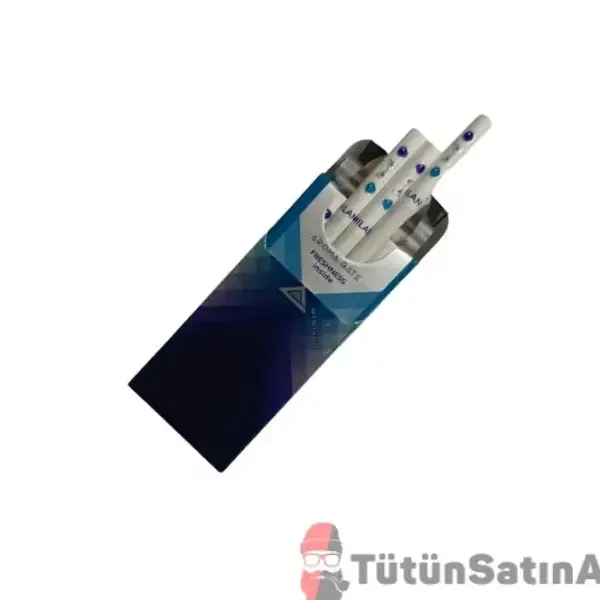 Milano Aroma Gate Blueberry Menthol İthal Sigara 2