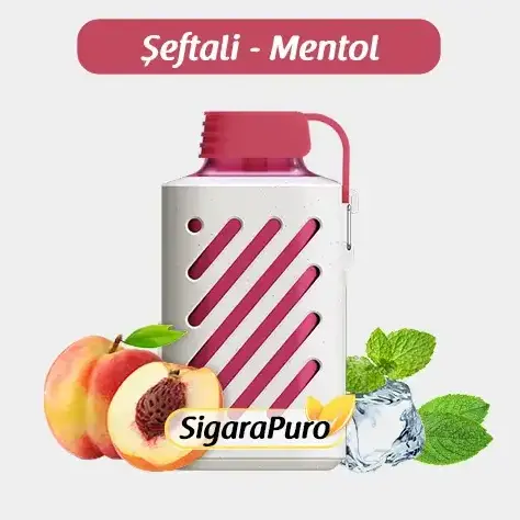 Vozol 10000 Peach ice Puff – Vozol Gear 10000